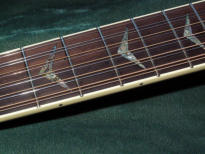 Custom Acoustic Flying V 12 String - Eurotubes Bob Pletka