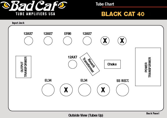 Bad Cat Black Cat Tube Chart
